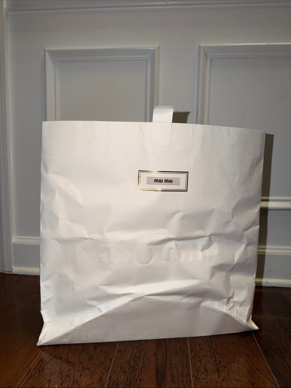 Miu Miu 🤍🚨 White Decorative Shopping Bag